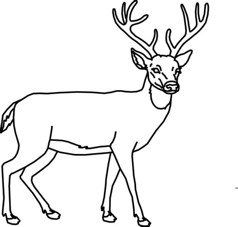 Original deer pencil drawing by me. Deer Outline Clip Art at Clker.com - vector clip art ...