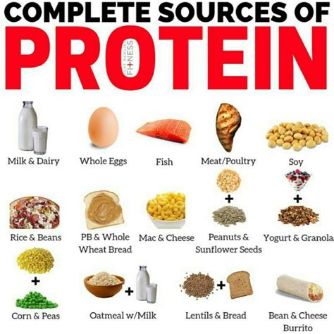 The Complete Sources Of Protein Protein Foods List High Protein