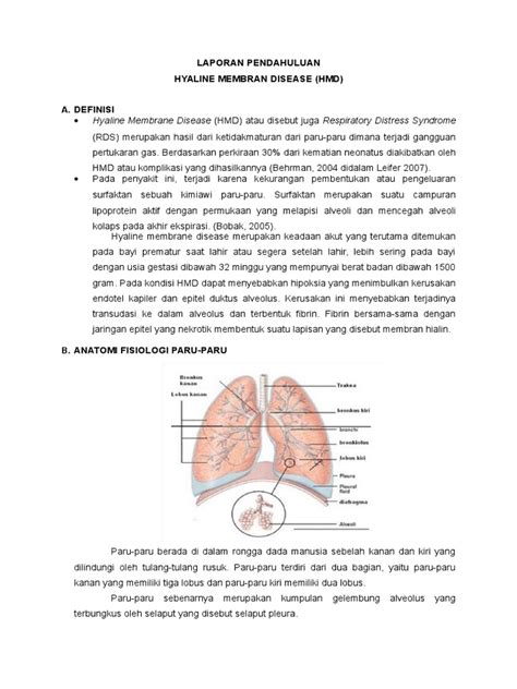 Surfactant is present when the lungs are fully developed. Hyaline Membrane Disease - Revisied
