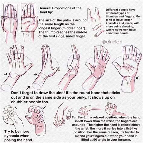 Pin By Jason Sikes On Anatomy Arm And Hands Hands Tutorial How To