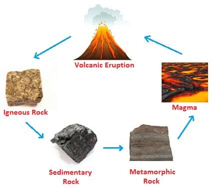 During anatexis, granites are formed by the process mentioned in number two. Rock Cycle | Rock Cycle Diagram | Swiftutors.com
