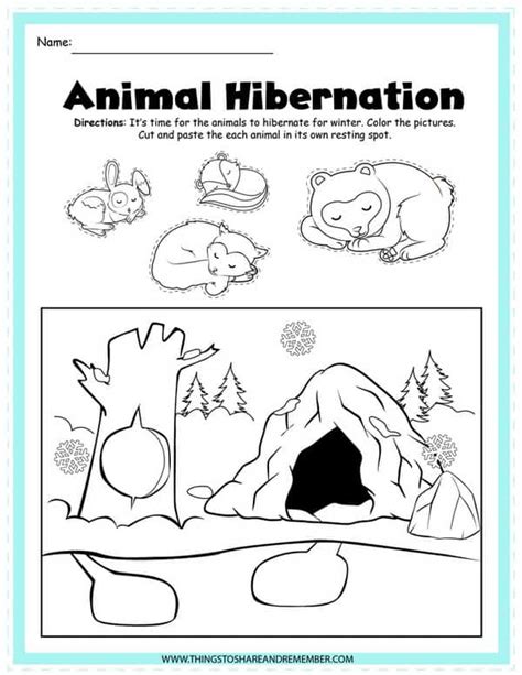 Hibernation Worksheet Kindergarten