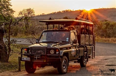 Night Drive Safari Heritage Tours And Safaris