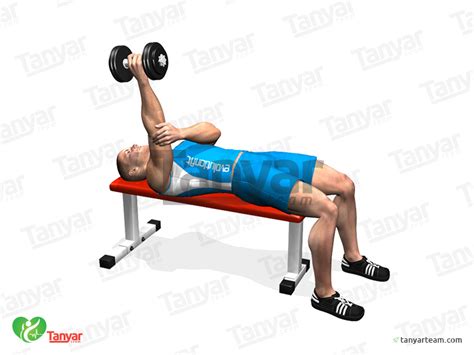 One Arm Lying Dumbbell Tricep Extension B