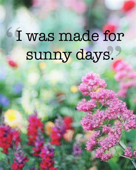 Beautiful Sunny Day Quotes