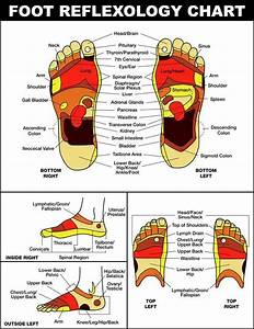 Foot Reflexology Reflexology Foot Chart Reflexology Foot