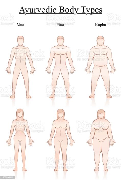 Body Weight Slim Normal And Fat Men And Women Ayurvedic Body