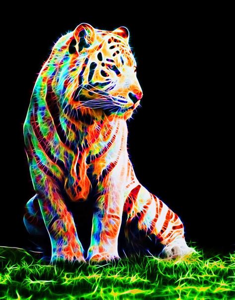 Tiger Artwork Big Animals Colorful Animals