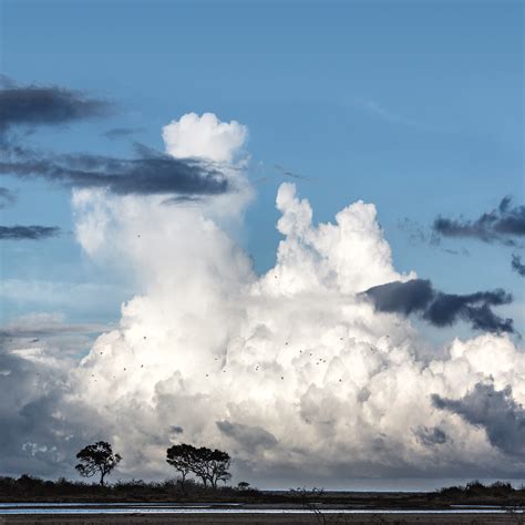 Towering Cumulus A Massive Towering Cumulus Cloud System W Flickr