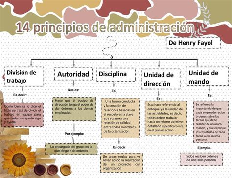 14 Principios De Administración Frida Medina Udocz