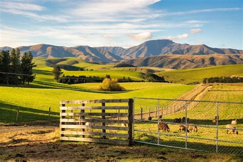 Premium Photo Typical Beautiful Agricultural Farmland Scenery In The