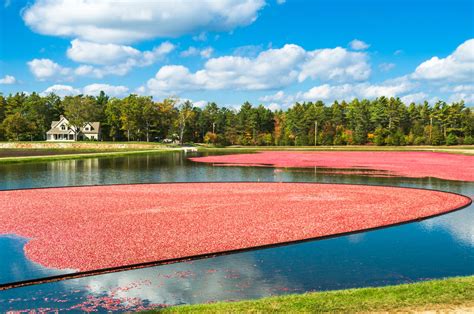 The commonwealth of massachusetts is a state in the new england region of the northeastern united states. Massachusetts Fall Foliage Driving Tours