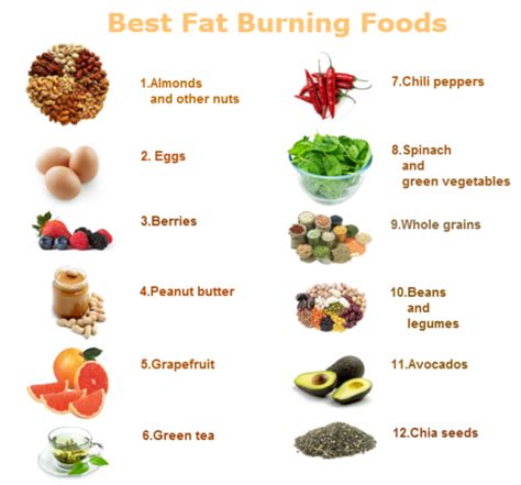 Fat Burning Foods Goqii