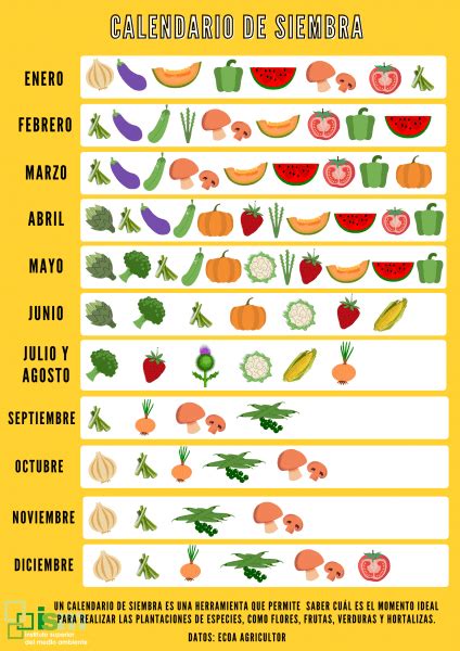 Calendario de siembra Cuál es el momento óptimo para sembrar Fruit