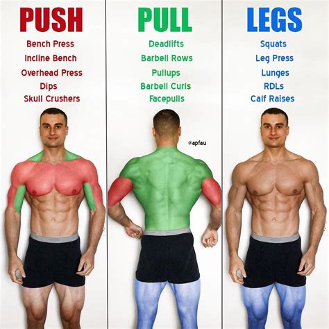 What Push Pull And Legs Actually Means Push Muscles Include Your Chest Triceps And Front
