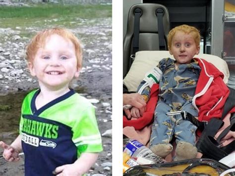 Un niño de 3 años se perdió en el bosque y sobrevivió por su cuenta