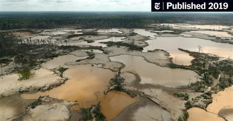 Opinion How To Save The Amazon Rain Forest The New York Times