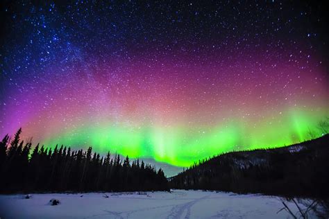 Northern Lights With Forest And Snow By Bob Stefko