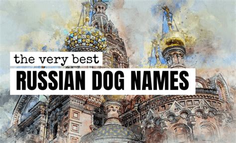 300 Russian Dog Names Slavic Names For Your Four Footer