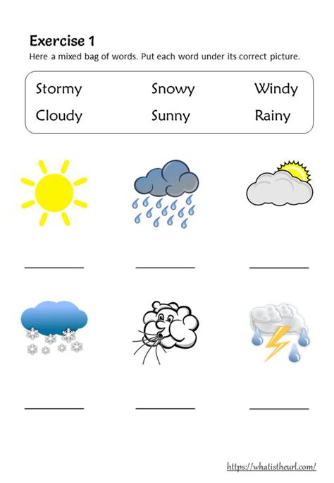 Weather Vocabulary And Worksheets For Grade Your Home Teacher In Weather Worksheets