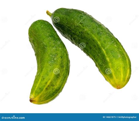 Two Whole Cucumbers Stock Image Image Of Healthy Nutritional 14661875