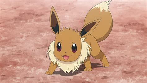 32 Fun And Fascinating Facts About Eevee From Pokemon Tons Of Facts