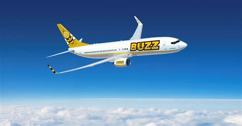 A ryanair plane from greece to lithuania was diverted to belarus for several hours on sunday, with activists saying it was done to arrest a dissident journalist on board. Weiterer Ausbau: Ryanair schickt Buzz auch nach Prag und ...