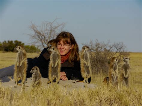 Where To See Meerkats In Botswana Africa Tribes Travel