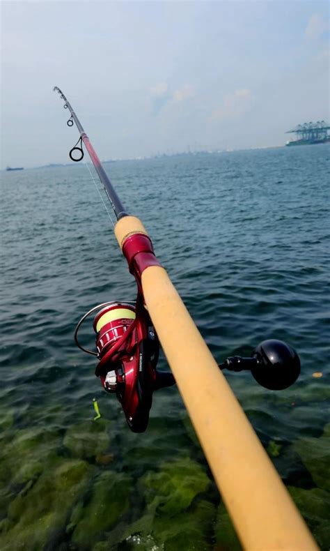 Daiwa Bg Rr D Ark Sports Equipment Fishing On Carousell