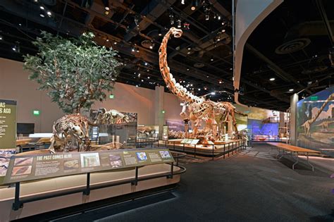 Augmented Reality To Be Part Of Perot Museum Of Nature And Sciences Ultimate Dinosaurs Exhibit