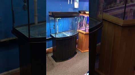 36 Gallon Bowfront Aquarium Fish Tank Complete 250 Youtube