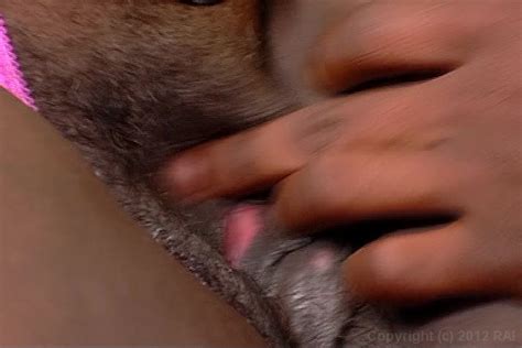 Big Butt Black Teachers 2006 Evasive Angles Adult Dvd Empire