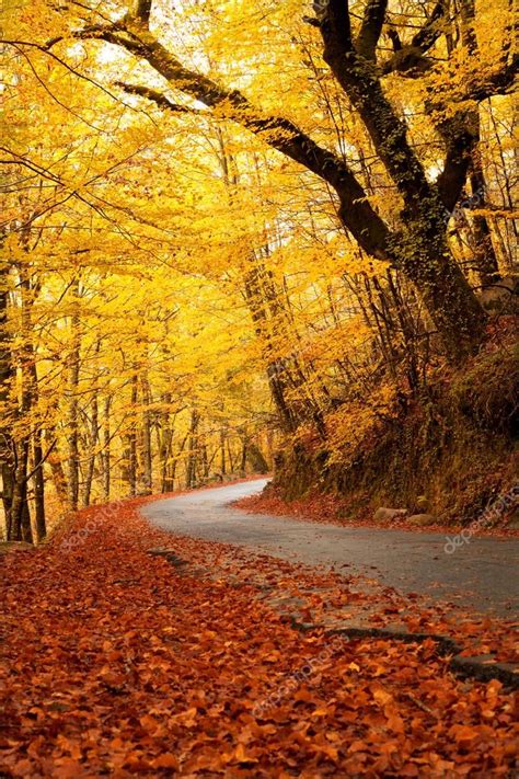 Paisaje otoñal con carretera y hermosos árboles de colores — Fotos de ...