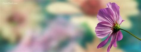 Facebook Covers Tagged Flowers