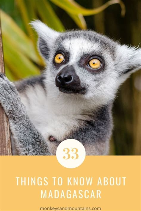 Madagascar Travel 33 Things You Need To Know Before You Go