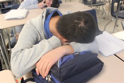 Students sleeping in class - Shark Attack Online