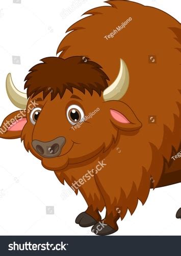 American Bison Fan Casting For North America Animated Series Mycast