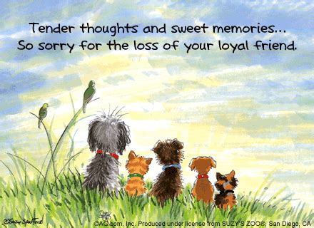 The loss of that pet will leave a hole in their heart, and the owner may experience real grief. Sympathy Quotes Loss Of Pet. QuotesGram