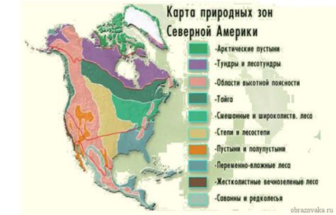 Таблица северной америки природные зоны климат растительный и животный мир