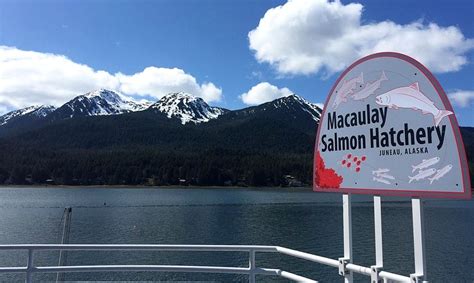 10 Spectacular Things To Do In Juneau Cruise Port Insider Port Guide