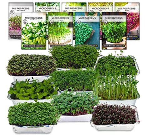 Sow Right Seeds Microgreens Growing Kit Seed Mixed Variety Pack