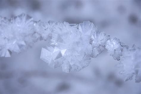 Royalty Free Photo White Crystals Selective Focus Photography Pickpik