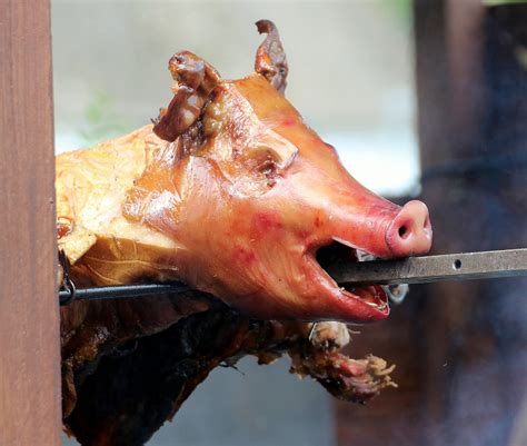 Suckling Pig Disgust Grilled Day No People Eat Pork Focus On