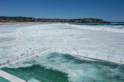 Bondi Beach Sydney Stock Photo Image Of Swimming Iceberg 80830154