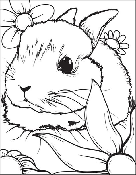 Bunny Coloring Pages Best Coloring Pages For Kids Free Printable