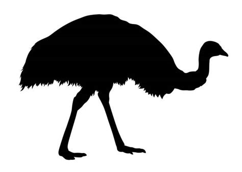 Emu Silhouette Illustrations Royalty Free Vector Graphics And Clip Art