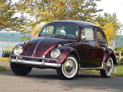 1960 Stunner Vw Beetle Bug Sedan Vw Beetle Classic Vw Beetles