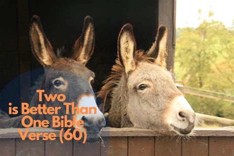 Insightful Two Is Better Than One Bible Verse