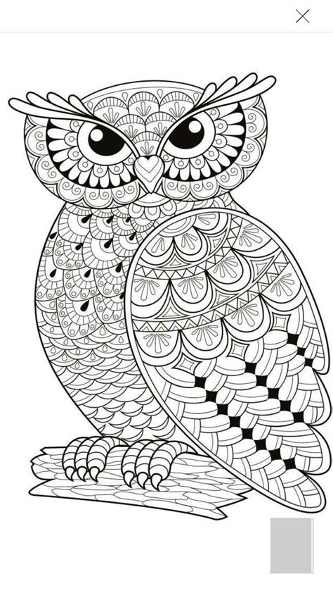 Owl Mandala Coloring Sheet Todd Waggoner S Coloring P