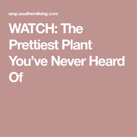 Watch The Prettiest Plant Youve Never Heard Of Pretty Plants